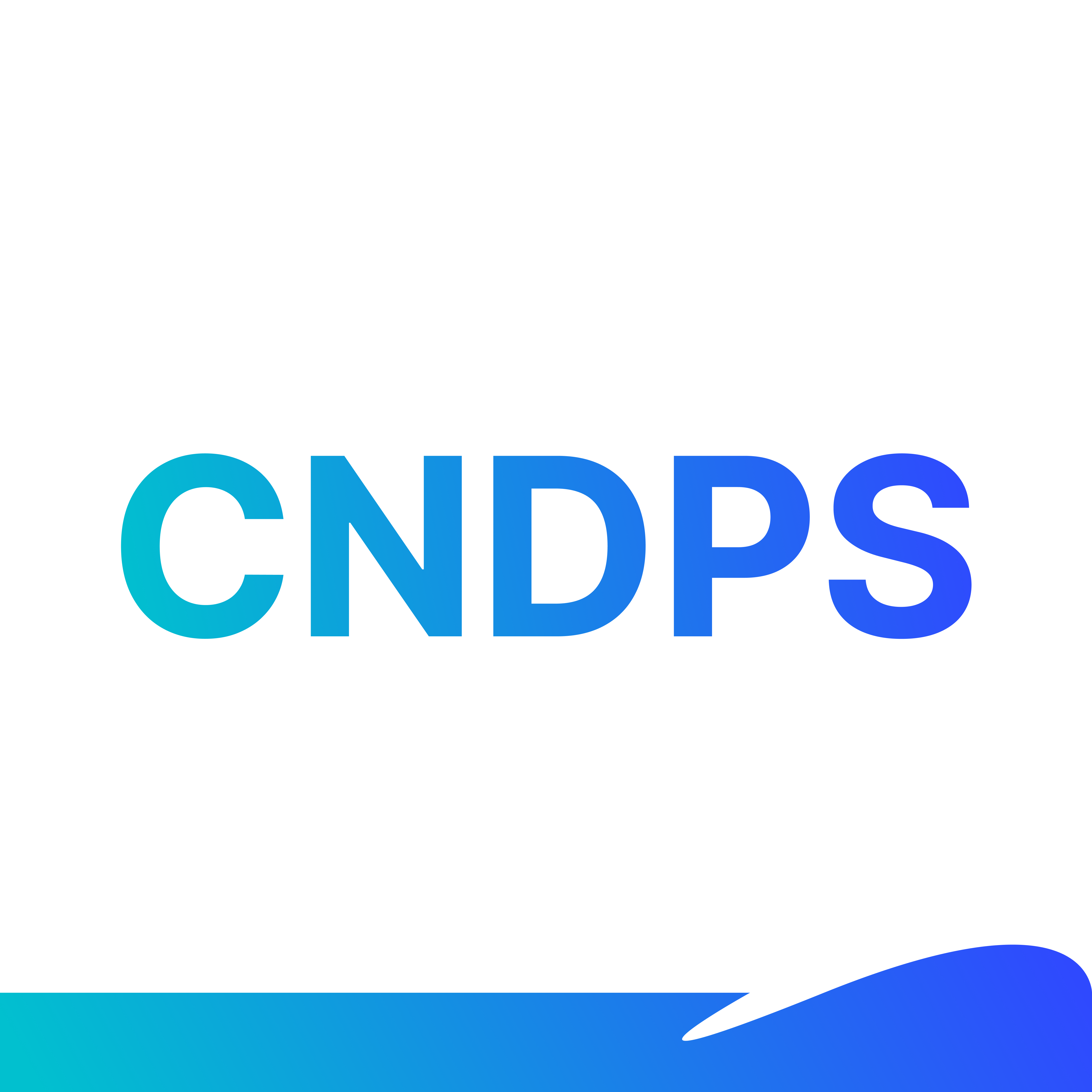 Communauté Notre Dame du Perpétuel Secours (CNDPS)